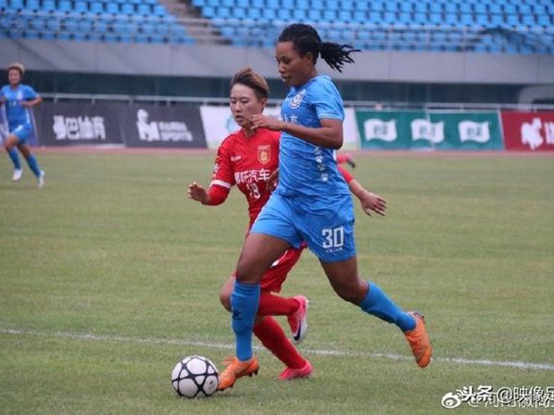 d88尊龙介绍